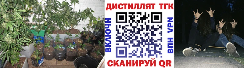 где можно купить   Кола  Дистиллят ТГК концентрат 